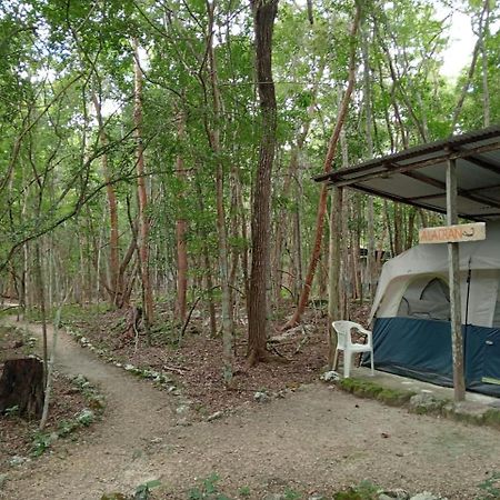 Campamento Yaax Che En Calakmul Conhuas Zewnętrze zdjęcie