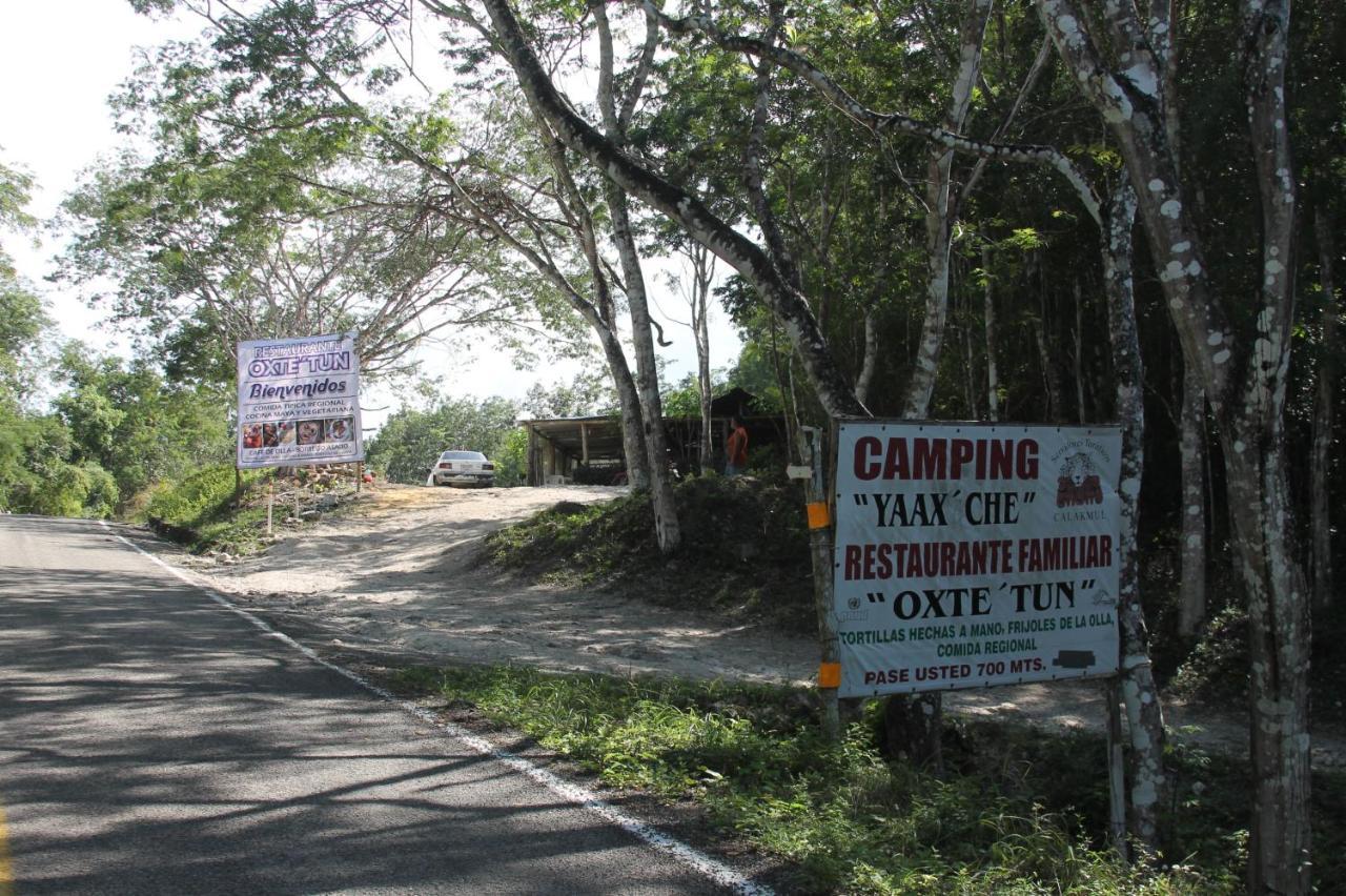 Campamento Yaax Che En Calakmul Conhuas Zewnętrze zdjęcie