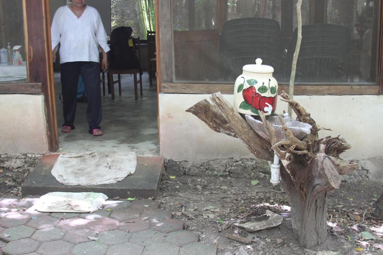 Campamento Yaax Che En Calakmul Conhuas Zewnętrze zdjęcie