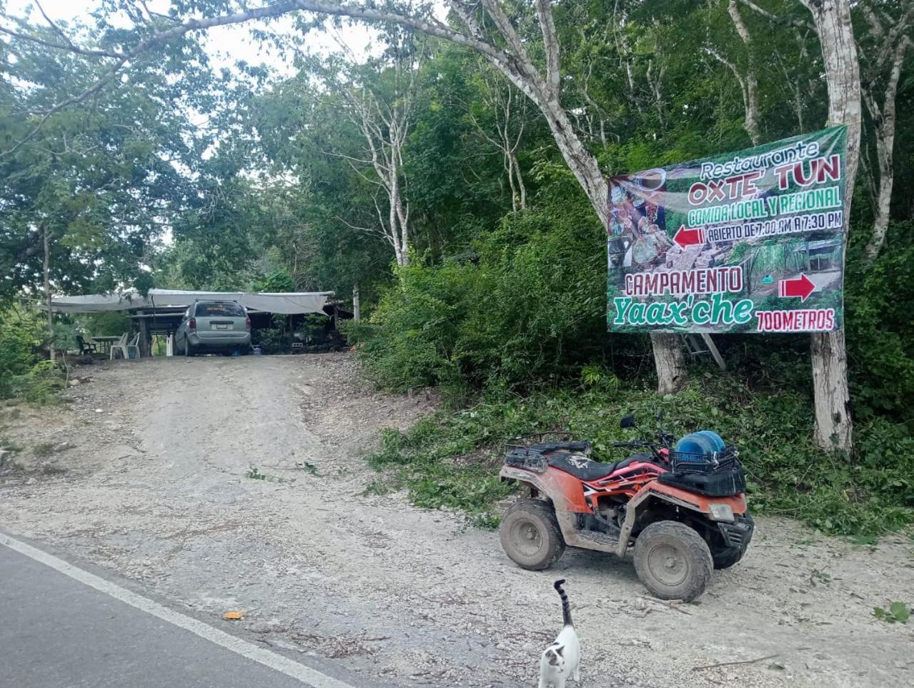 Campamento Yaax Che En Calakmul Conhuas Zewnętrze zdjęcie