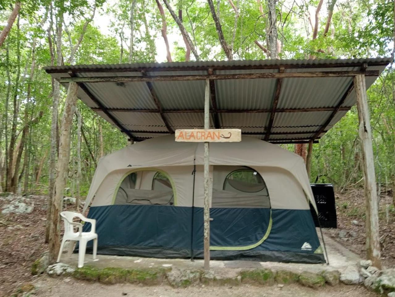 Campamento Yaax Che En Calakmul Conhuas Pokój zdjęcie