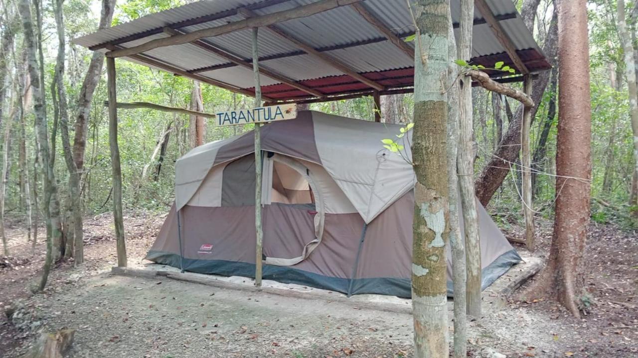 Campamento Yaax Che En Calakmul Conhuas Pokój zdjęcie