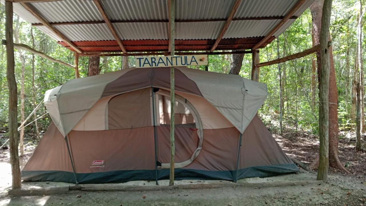 Campamento Yaax Che En Calakmul Conhuas Pokój zdjęcie