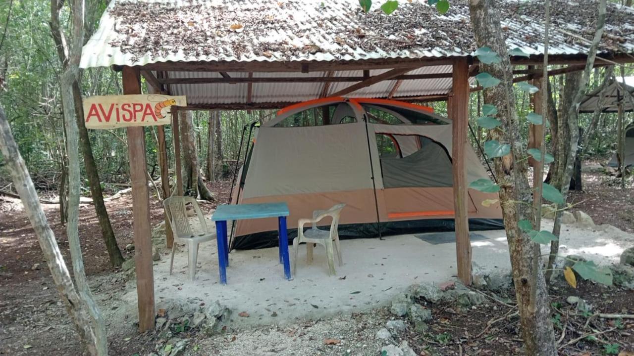 Campamento Yaax Che En Calakmul Conhuas Pokój zdjęcie