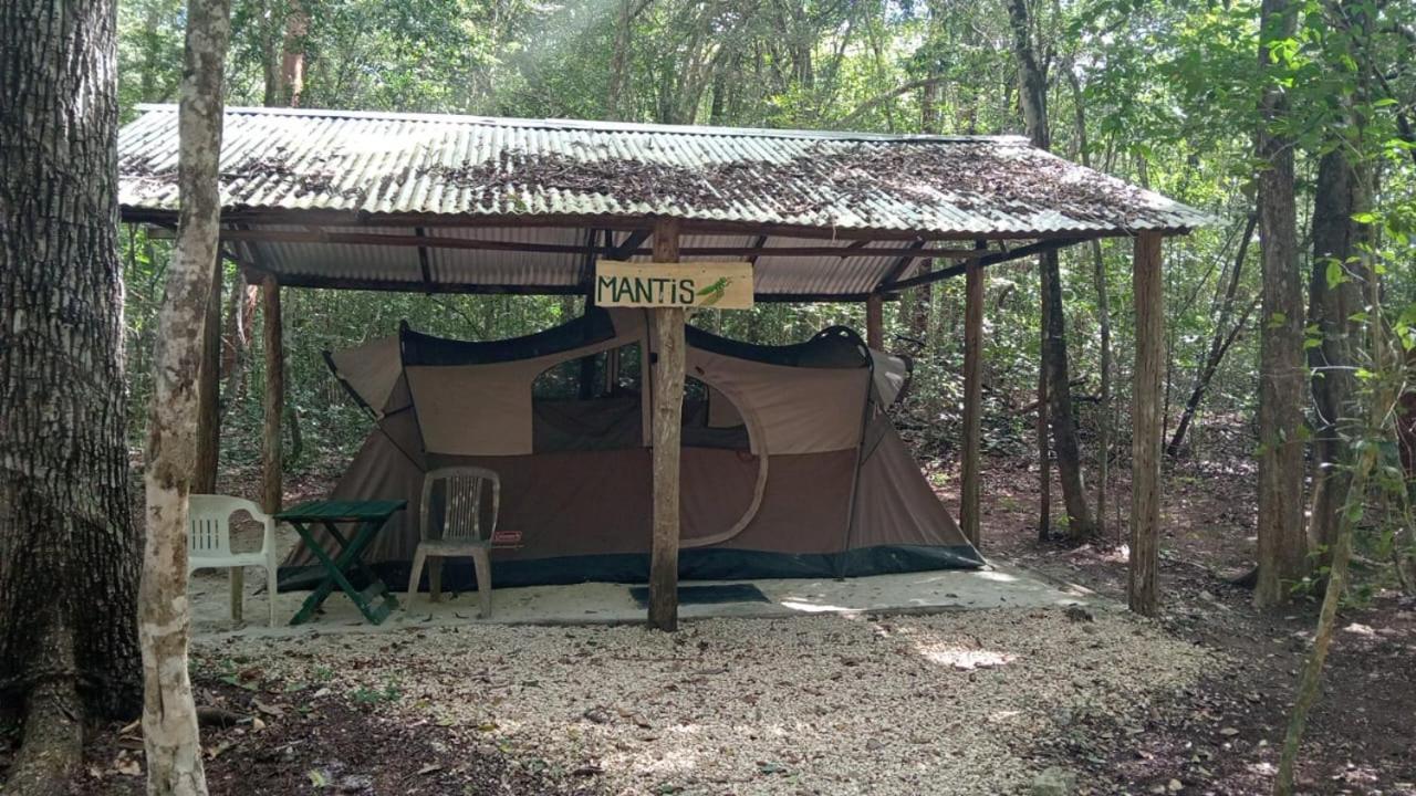 Campamento Yaax Che En Calakmul Conhuas Pokój zdjęcie