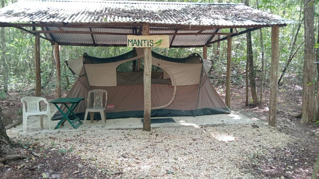 Campamento Yaax Che En Calakmul Conhuas Pokój zdjęcie