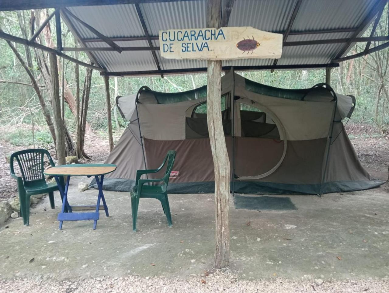 Campamento Yaax Che En Calakmul Conhuas Pokój zdjęcie