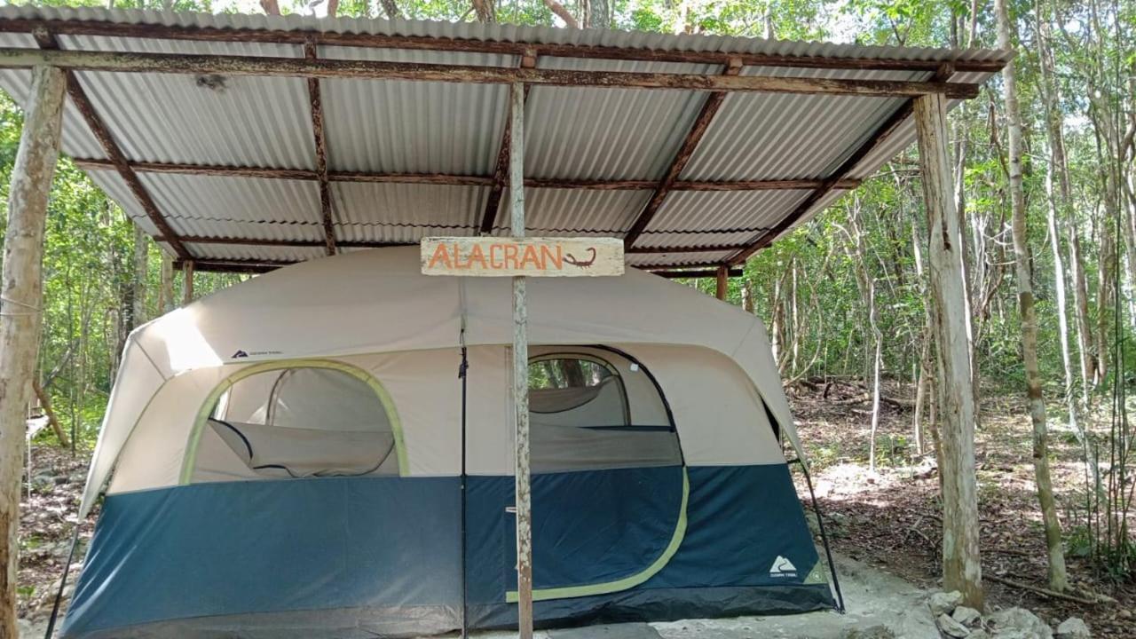 Campamento Yaax Che En Calakmul Conhuas Pokój zdjęcie