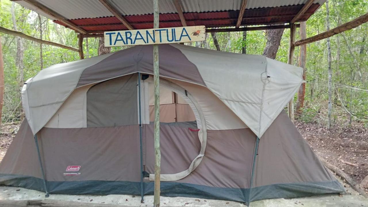 Campamento Yaax Che En Calakmul Conhuas Zewnętrze zdjęcie