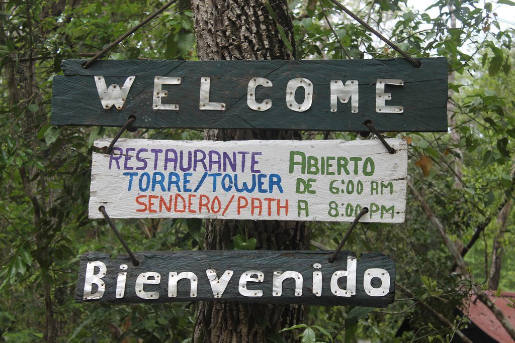 Campamento Yaax Che En Calakmul Conhuas Zewnętrze zdjęcie