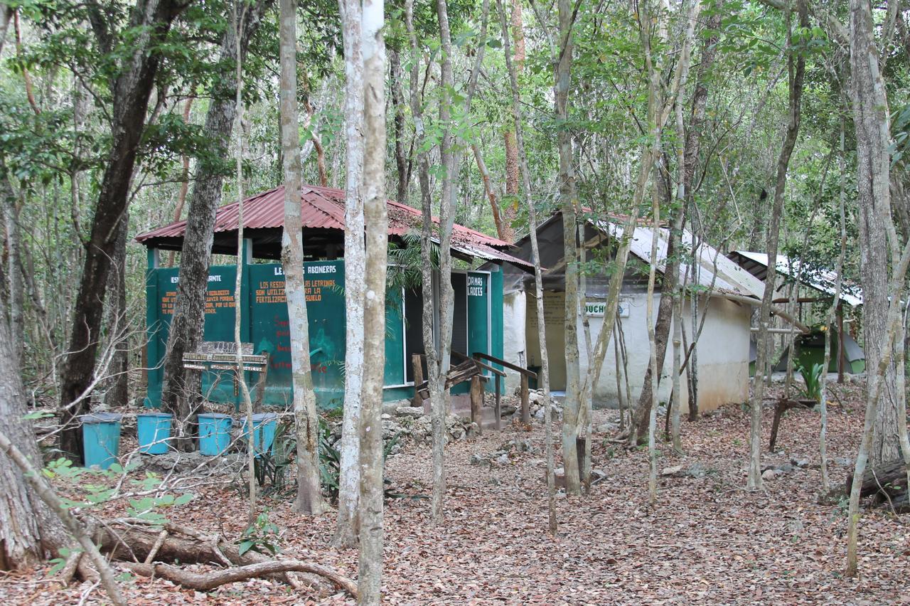 Campamento Yaax Che En Calakmul Conhuas Zewnętrze zdjęcie